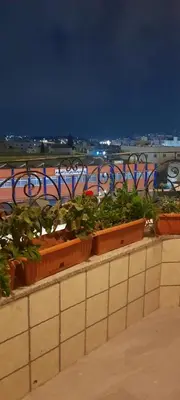 a row of plants in pots on a wall at flamingo hotel irbid in Zabdah