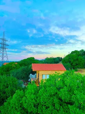 Gallery image of Ajloun Wooden Huts اكواخ عجلون الخشبية Live amid nature in Umm al Manābī‘
