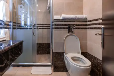 a bathroom with a toilet and a glass shower at Petra Elite Hotel in Wadi Musa