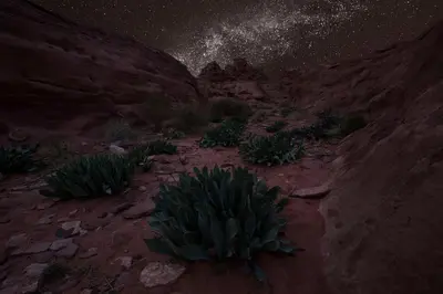 a view of a desert at night with a starry sky at Wadi Rum Trail in Wadi Rum