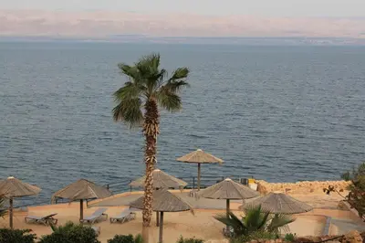 a palm tree and chairs and umbrellas on a beach at Samarah Dead Sea Resort Studio-CP6 Traveler Award 2026 Winner Thursday, Friday and Saturday Groups consisting solely of male guests are not permitted in Sowayma