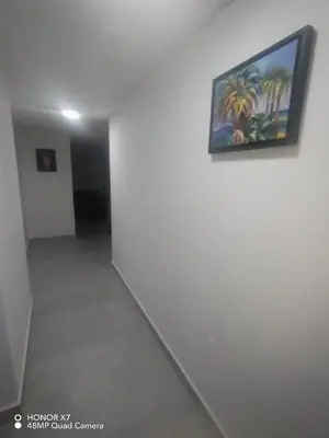 a hallway with a painting of palm trees on the wall at Farah Plaza Hostel &Hotel Apartments in Aqaba