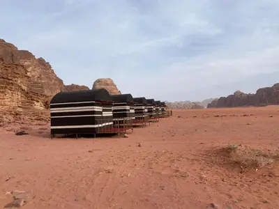 a row of black and white buses in the desert at Wadi Rum Odyssey Camp in Wadi Rum