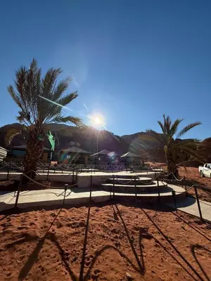 a sandy beach with palm trees and a fence at falling Stars Camp in Wadi Rum
