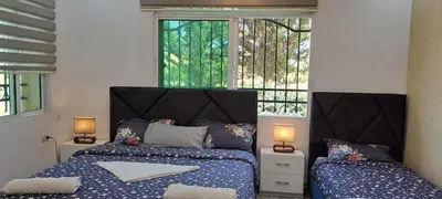 a bedroom with two beds and two windows at Hadrian's Arch in Jerash