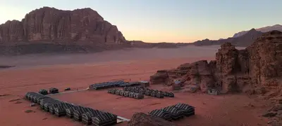a group of zebras sitting in the desert at Rum Magic Nights in Wadi Rum