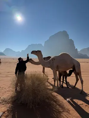 a man standing next to two camels in the desert at Bedouin Desert Life Camp & Jeep Tours in Wadi Rum