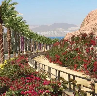 a garden path with flowers and palm trees and the ocean at Al Raha Village - Aqaba in Aqaba