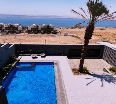 a swimming pool with a palm tree next to a resort at laperla chalet villa di lusso deadsea in Sowayma
