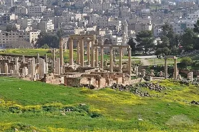 an ancient temple in a field with a city in the background at Full panorama Jerash (PLUS) in Jerash