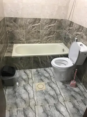 a bathroom with a toilet and a bath tub at Elite Furnished Apartment in Wadi Musa