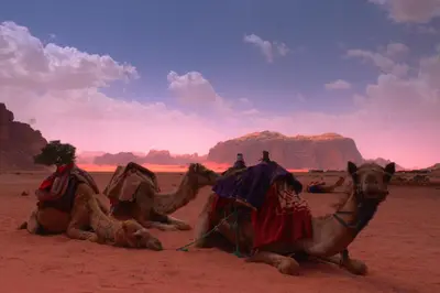 two people riding on camels in the desert at Mohammed Mutlak Camp in Wadi Rum