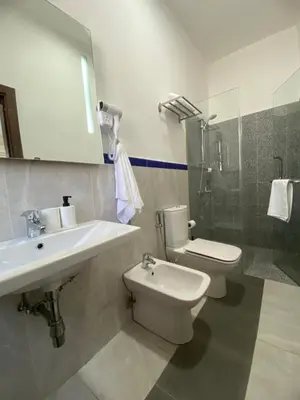 a bathroom with a sink and a toilet and a shower at Lemon Tree Residence in Amman