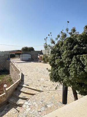 a stone pathway with a tree in the middle at Abu Hossam s chalet in Jerash