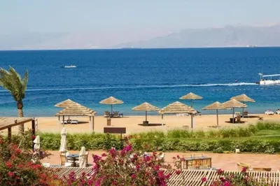 a beach with a bunch of umbrellas and the ocean at Maria Beach Ground Floor Apartament in Aqaba