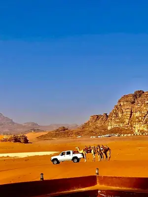 a white truck with horses in the desert at Rum Kingdom Camp in Wadi Rum