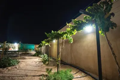 a fence with a tree next to a wall with lights at مزرعة وفيلا الريان وادي رم in Ruʼaysat al Khālidī