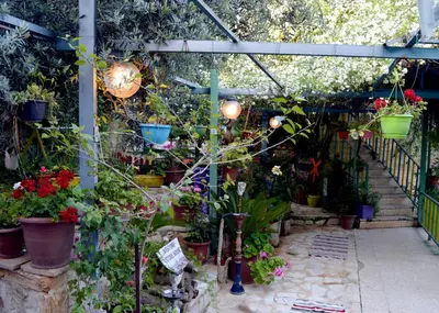 a greenhouse filled with lots of plants and flowers at بيت الطبيعة nature house in Jerash