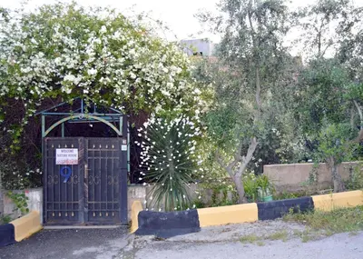 a gate with a plant with white flowers at بيت الطبيعة nature house in Jerash