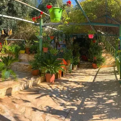 بيت الطبيعة nature house