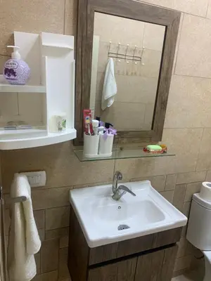 a bathroom with a sink and a mirror at Tayoon Host in Jerash