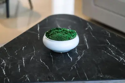 a bowl of green grass sitting on a table at Abdali Views Apartments in Amman