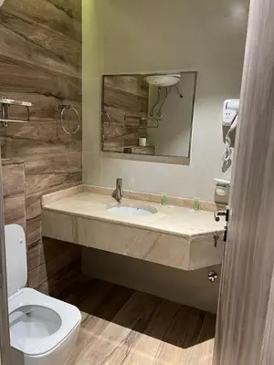 a bathroom with a sink and a toilet and a mirror at Mass Boutique hotel in Aqaba