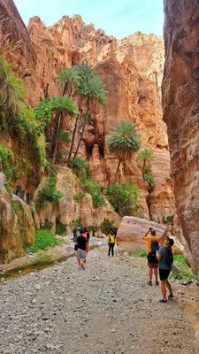 a group of people walking through a canyon with palm trees at Dana Nabil Ecu Camp House - Main Gate Dana nature reserve in Dana