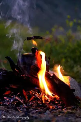 a pot sitting on top of a camp fire at Dana Nabil Ecu Camp House - Main Gate Dana nature reserve in Dana