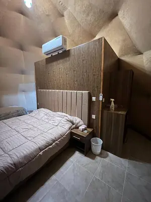 a bedroom with a bed with aperatureperature at Wild Oryx Camp Bubbles in Wadi Rum