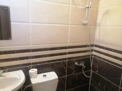 a bathroom with a toilet and a sink at The Stunning View in Wadi Musa