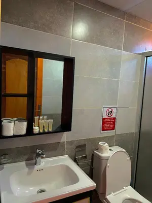 a bathroom with a sink and a toilet and a mirror at Arjowana Luxury Camp & Bubbles Hotel in Wadi Rum