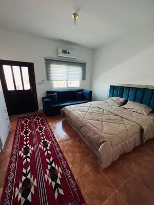 a bedroom with a large bed and a couch at Petra Gold Inn Apartments in Wadi Musa