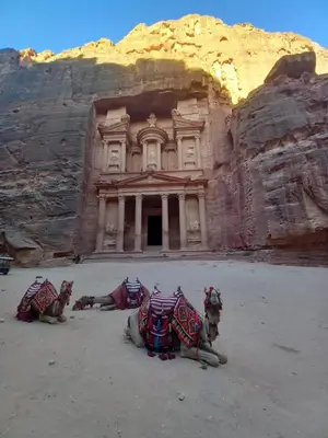 a group of camels laying in front of a building at Leen Guest House in Wadi Musa