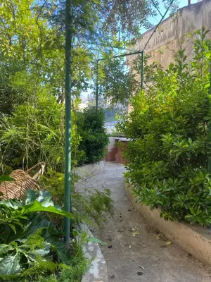 a garden with a green pole and bushes at Central house with beautiful garden in Amman