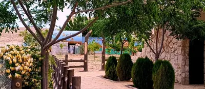 a garden with a fence and trees and flowers at Petra Dad Farm (PDF) in Umm Şawwānah