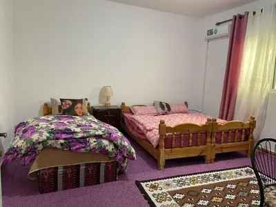 a bedroom with two beds and a purple carpet at taila hostel in Wadi Musa