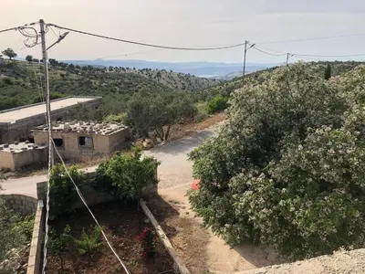 a view of a dirt road with bushes and trees at Pasha's house in Balad al Manşūrah