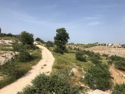 a dirt road in the middle of a field at Pasha's house in Balad al Manşūrah