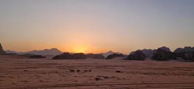 a group of animals in the desert at sunset at Rayyan Bedouin life camp in Wadi Rum