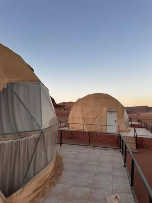 two yurt domes with a cat standing on a patio at Hakon Matata Wadi Rum Jeep Tours Camp in Wadi Rum