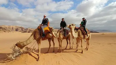 four people are riding on camels in the desert at Echo Desert Camp in Wadi Rum
