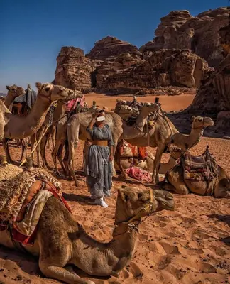 a man standing next to a group of camels in the desert at RUM W BUBBLE lUXURY CAMP in Wadi Rum