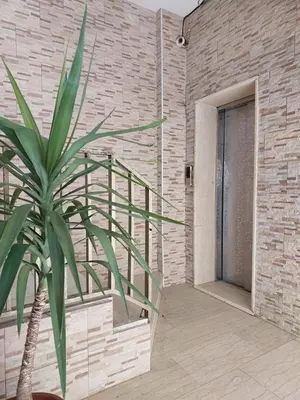 a palm tree in front of a brick wall with a door at Cozy Home 4 in Amman