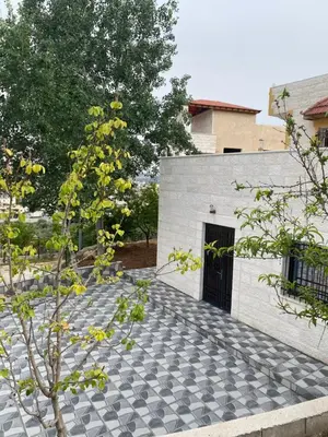 a white building with a black door and a tree at Moon Apartments in Jerash