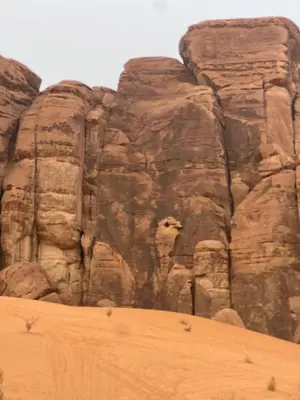 a camel standing next to a rock formation in the desert at Wadi Rum alsultan Camp in Wadi Rum